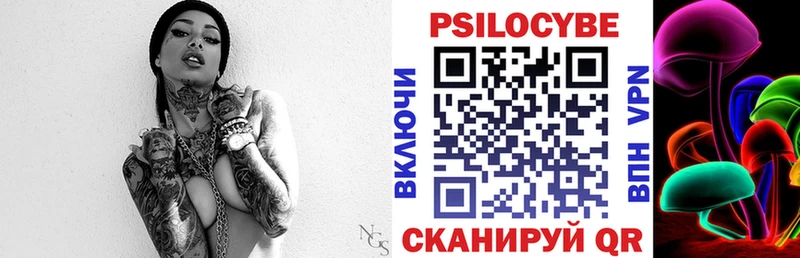 Галлюциногенные грибы Psilocybe Крымск